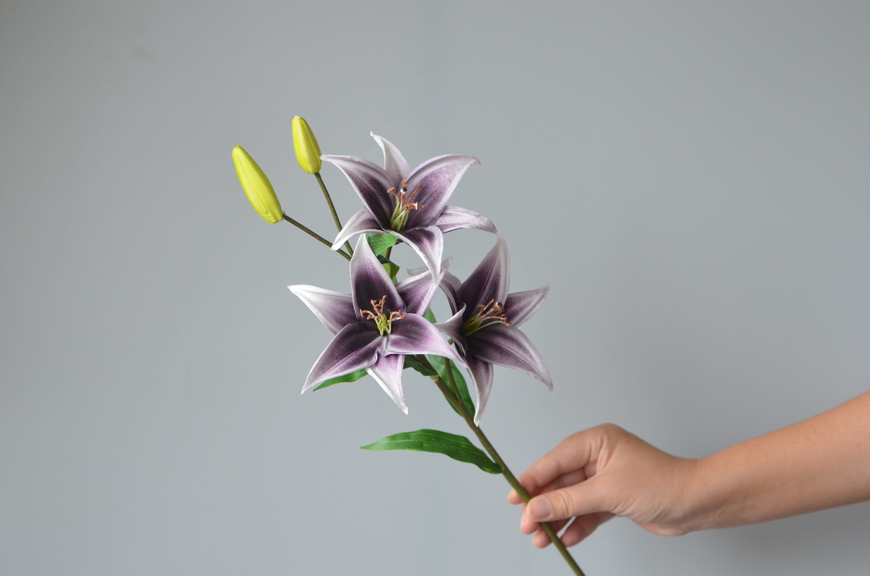 Tige Lily With Vase Metal Stem Puple Lily Flowe ... - TikTok