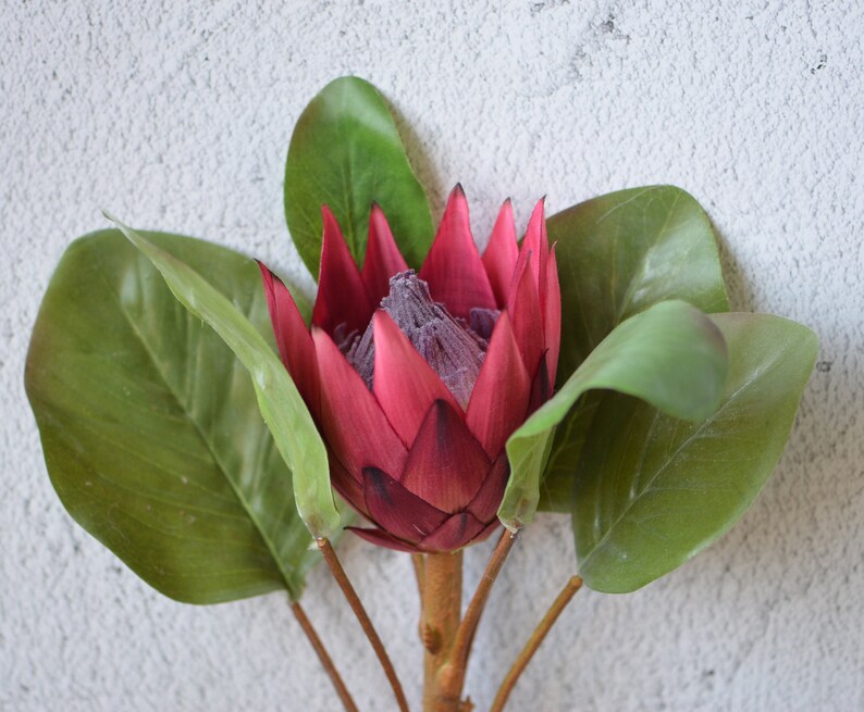 King Protea Flowers Silk Artificial Burgundy Protea Flowers Etsy