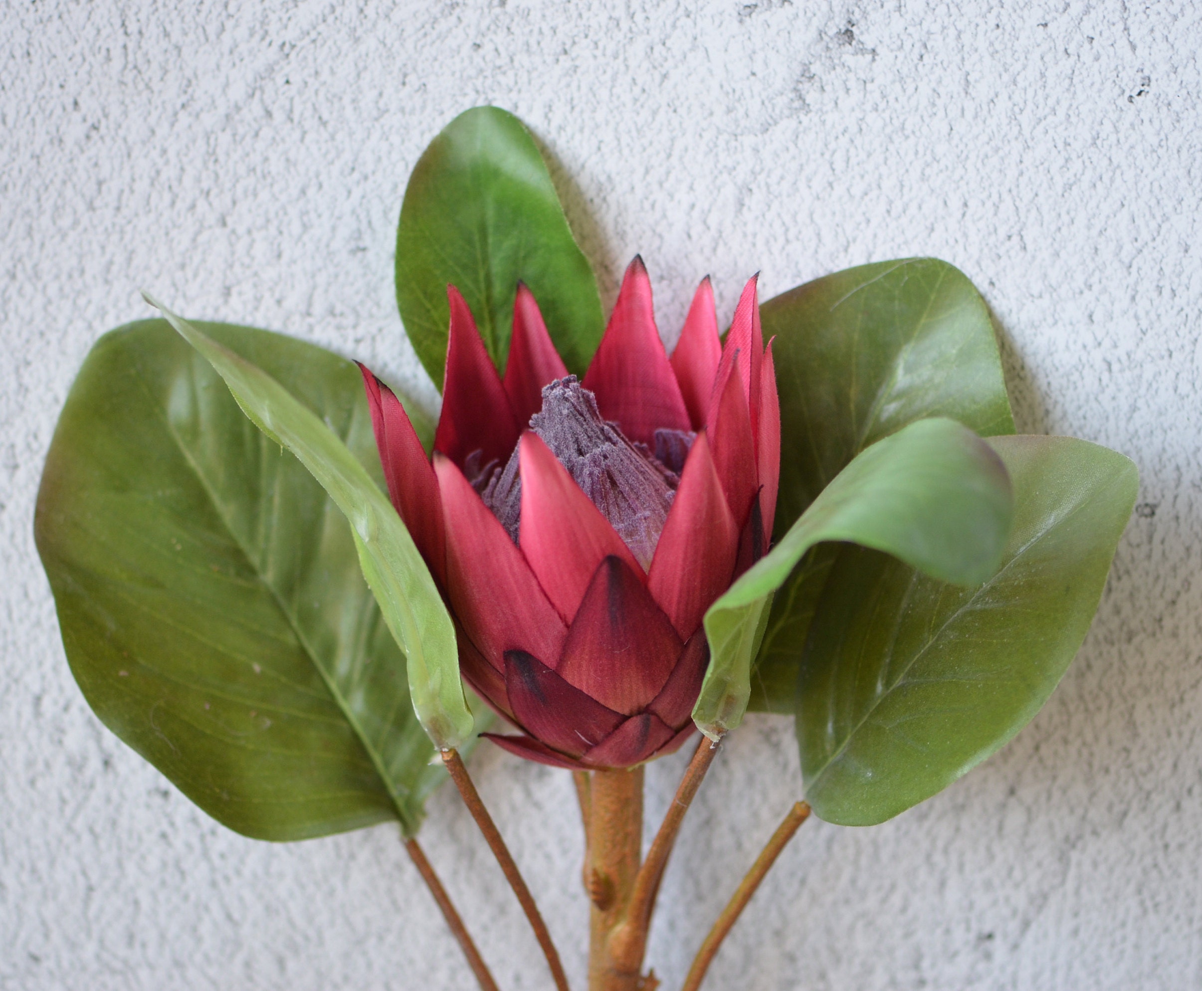 King Protea Flowers Silk Artificial Burgundy Protea Flowers Etsy