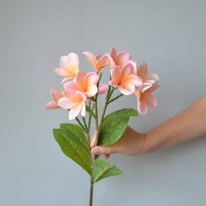 Coral Pink Frangipani Plumerias, Natural Real Touch Flowers, DIY Silk Bridal Bouquet, DIY Wedding Centerpieces