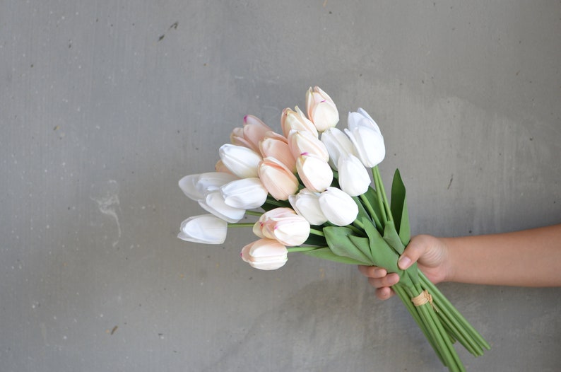 May include: A bouquet of white and peach tulips with green stems.