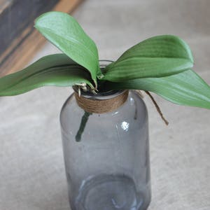 Artificial Orchids Leaves Real Touch Leaves for Orchids