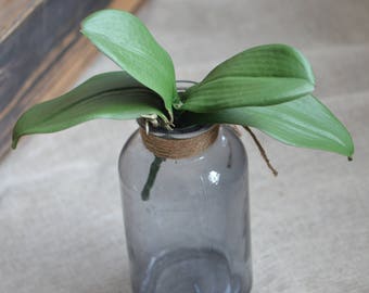 Artificial Orchids Leaves Real Touch Leaves for Orchids