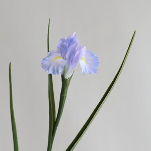 May include: A single stem of artificial blue iris flowers with green leaves.