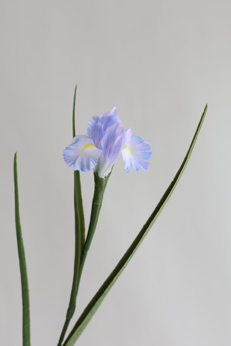 May include: A single stem of artificial blue iris flowers with green leaves.
