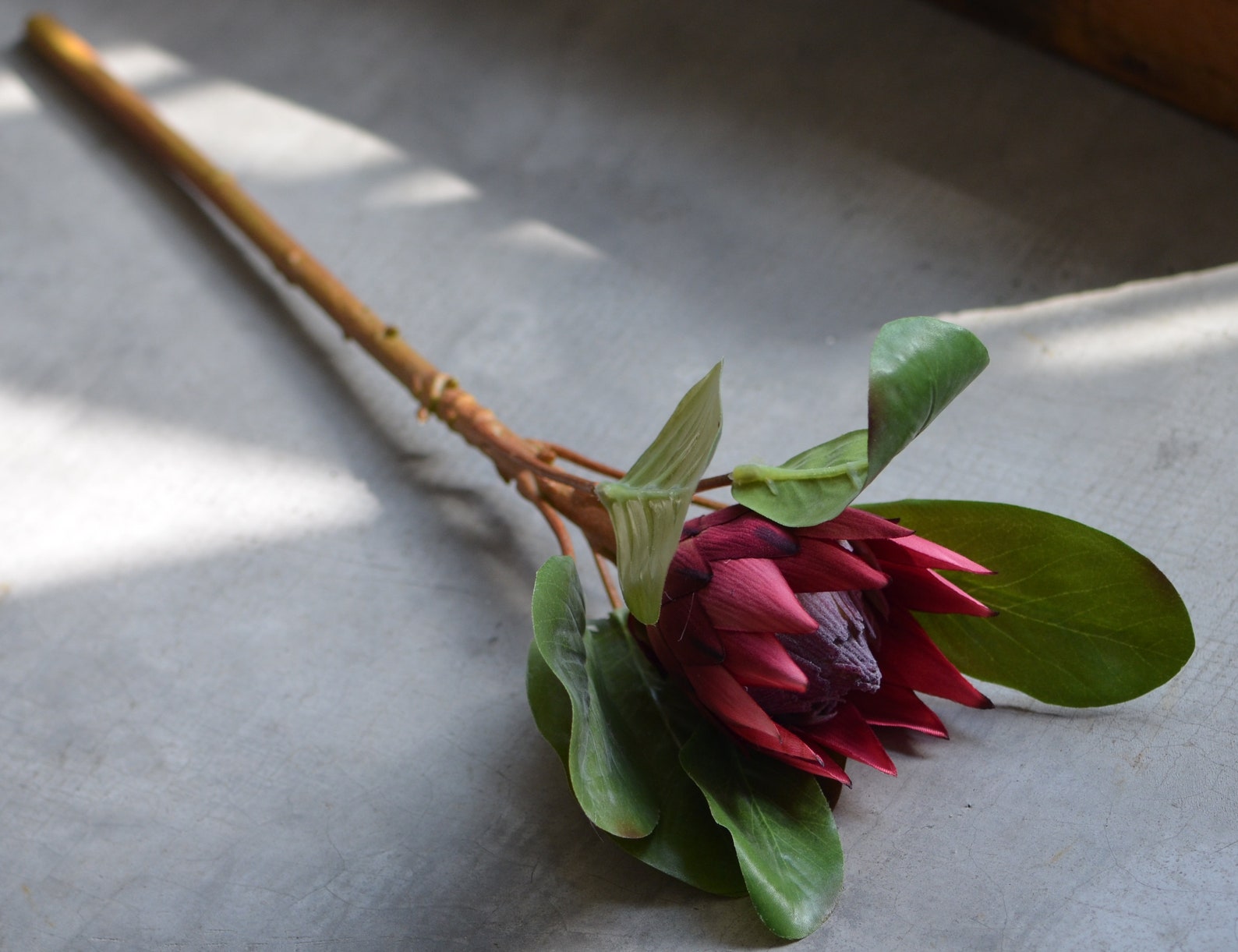 King Protea Flowers Silk Artificial Burgundy Protea Flowers Etsy