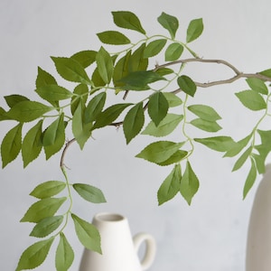 May include: A single branch of artificial greenery with green leaves in a white ceramic vase. The leaves are arranged in a cascading pattern, creating a natural and elegant look.