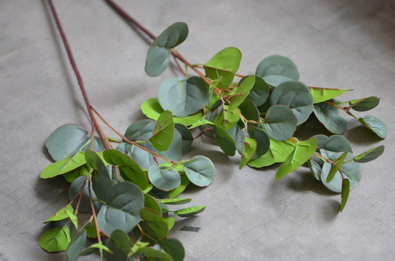 Round Eucalyptus Artificial Real Touch Eucalyptus Leaves Etsy