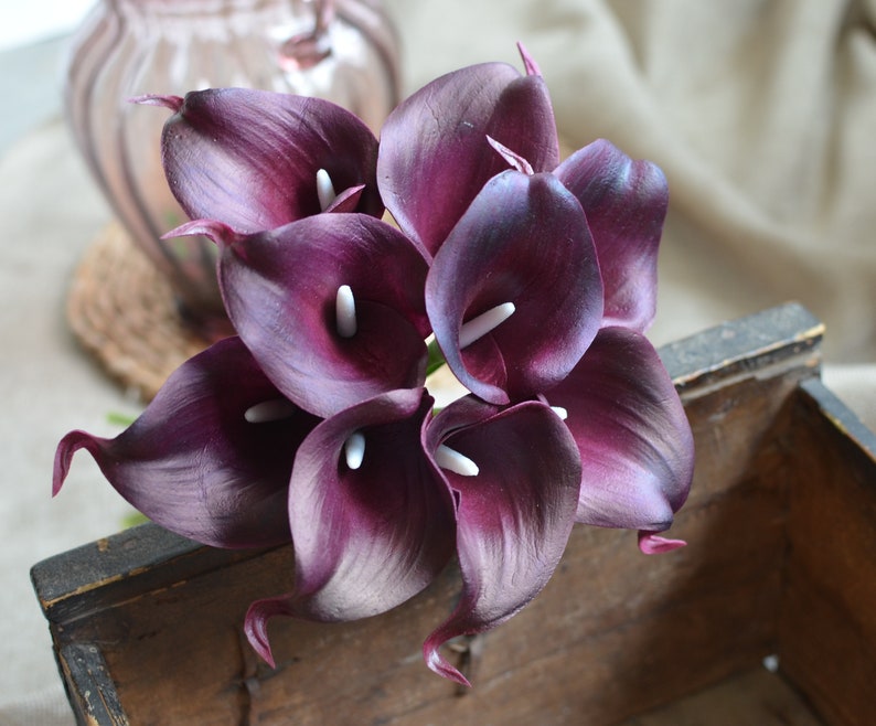May include: A bouquet of deep purple calla lilies with white centers. The flowers are arranged in a wooden box.