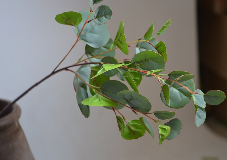 Round Eucalyptus Artificial Real Touch Eucalyptus Leaves Etsy