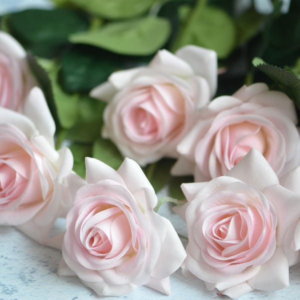 Pale Pink Real Touch Artificial Roses, DIY Florals | Wedding/Home/Kitchen Decoration | Gifts, DIY Bouquets/Centerpieces Supply