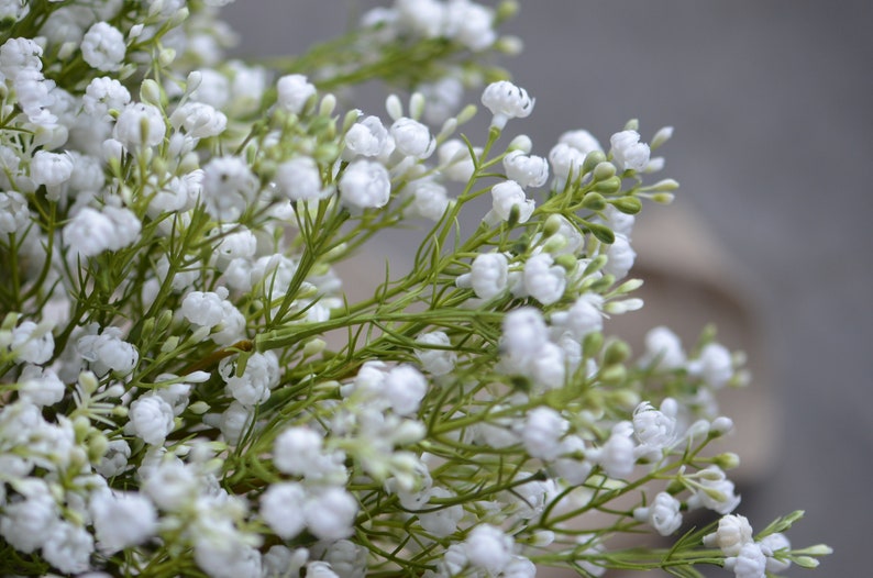 Baby's Breath Bundle, Artificial Baby's Breath, Faux White Wildflowers Bundle, DIY Wedding Bouquetes, DIY Bridesmaids Bouquets image 5