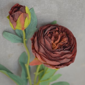 25.5&quot; Tall, Dark Brown Dried Look Artificial Peonies, Faux Cabbage Peony Roses in Boho Brown, Fall Wedding Home, Dark Orange Holiday Decor