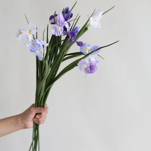 May include: A bouquet of purple and white iris flowers with green stems.