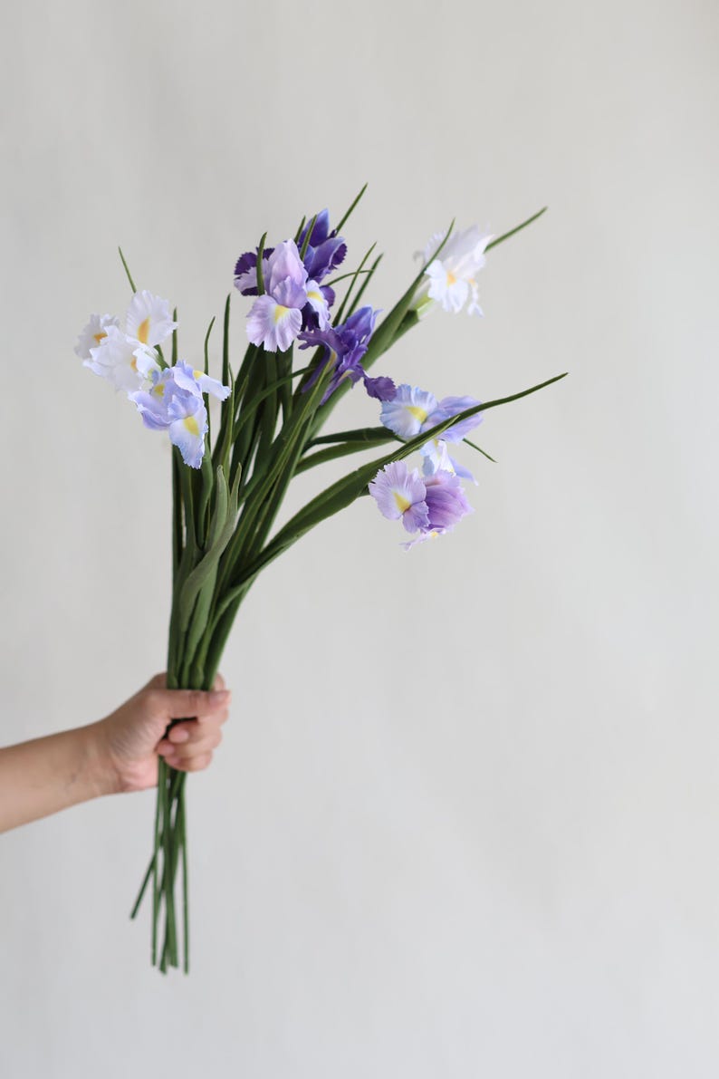 May include: A bouquet of purple and white iris flowers with green stems.