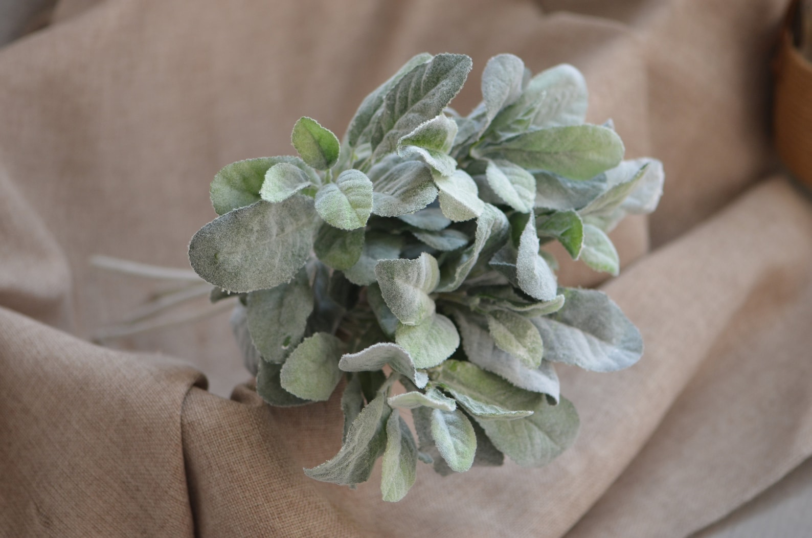 Lambs Ear Flocked Leaves Artificial Greenery Dusty Miller Etsy