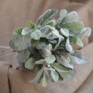 Lambs Ear Flocked Leaves, Artificial Greenery, Dusty Miller Leaves, Rustic Filler Greenery