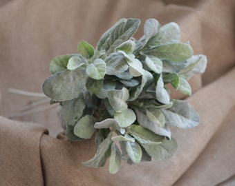 Lambs Ear Flocked Leaves, Artificial Greenery, Dusty Miller Leaves, Rustic Filler Greenery