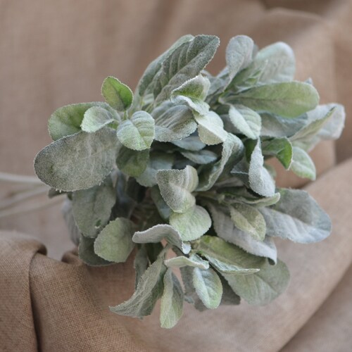 Artificial Lambs Ear Dusty Miller Flocked Leaf Floral Etsy