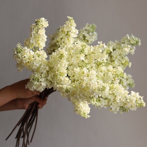 May include: A bouquet of white lilac flowers with green stems. The flowers are arranged in a loose, natural style.