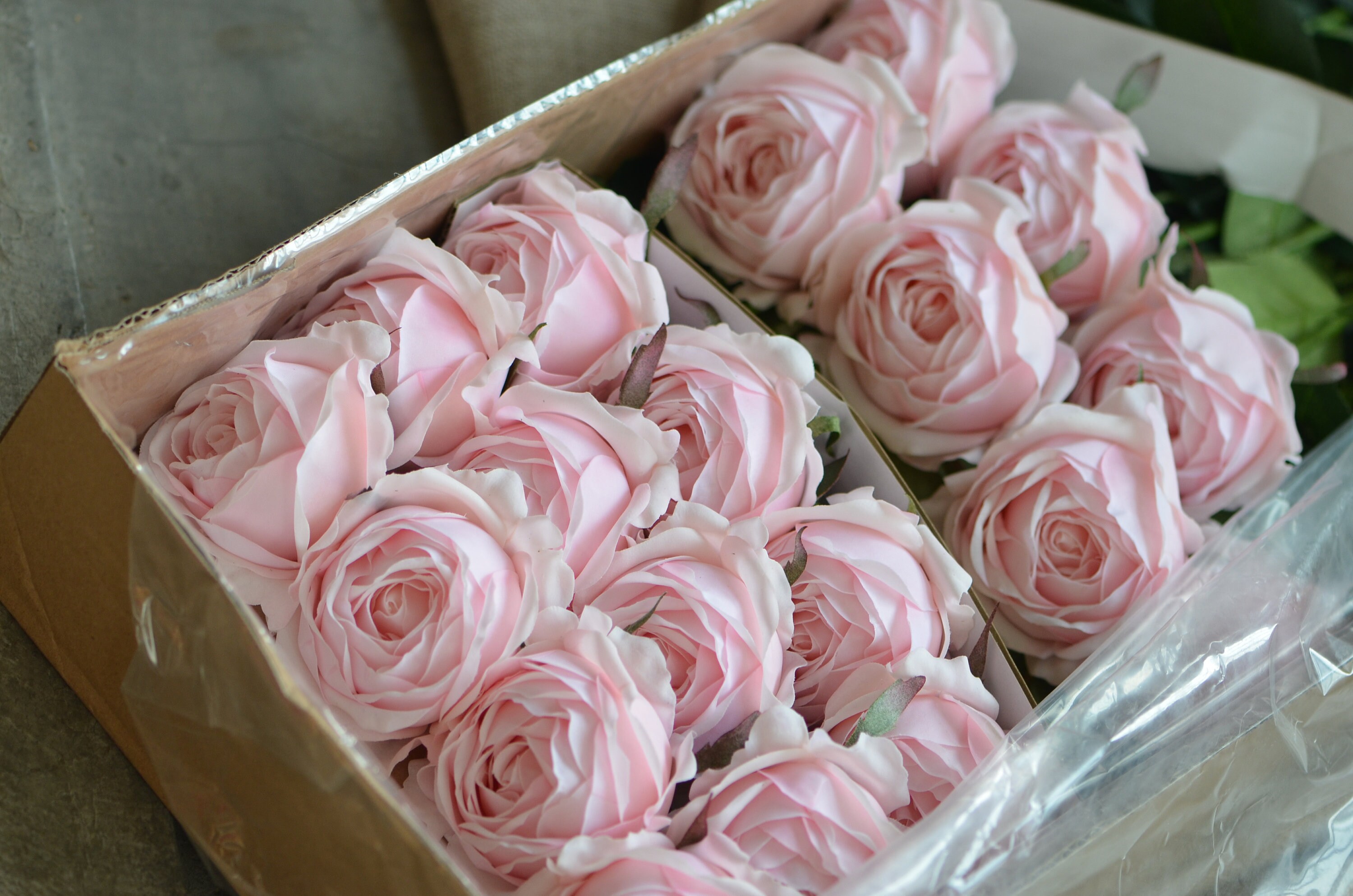 Pink Cabbage Roses Silk Real Touch Roses DIY Silk Bridal Etsy