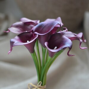 May include: A bouquet of six purple calla lilies with green stems.