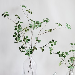 Puede incluir: Un jarr&oacute;n de vidrio transparente con una superficie texturizada contiene un ramo de ramas verdes frondosas con peque&ntilde;as flores delicadas. El jarr&oacute;n est&aacute; sobre una superficie de madera con un libro y una taza de t&eacute; blanca.