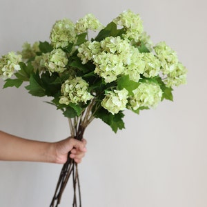 25 Faux Snowball Flower in Cream/Green, Real Touch Flowers, Faux Botanicals, DIY Florals, Wedding/Home/Kitchen Decoration Gifts image 5