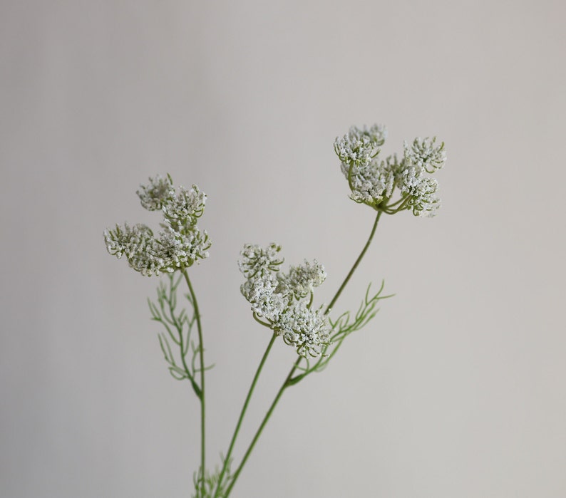 Tallo de planta de encaje falso de la reina Ana de 19,7 , 3 cabezas en blanco, rama de flores artificiales de primavera, flores de bricolaje / boda / hogar / decoración de cocina, regalos imagen 3