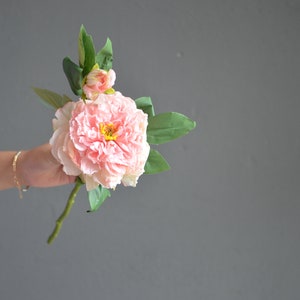 May include: A single pink peony flower with a closed bud and green leaves.