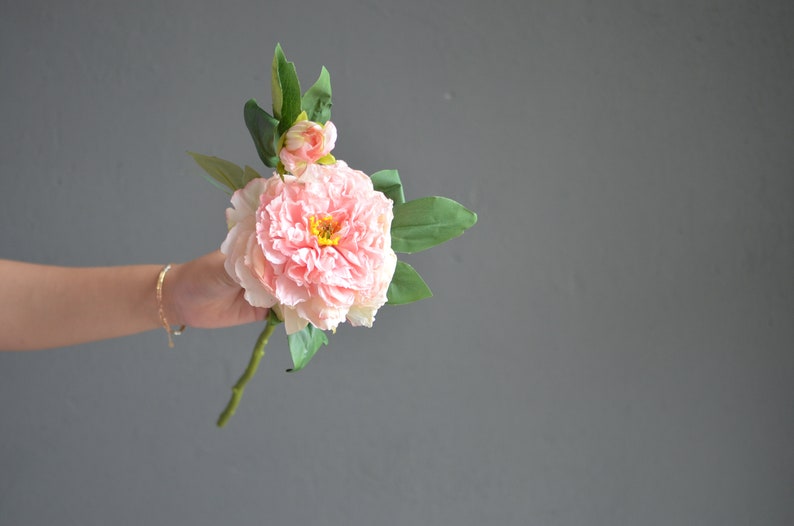May include: A single pink peony flower with a closed bud and green leaves.