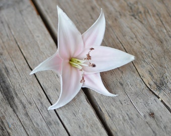 Pale Pink Tiger Lily Head Blooms Real Touch Flowers DIY Wedding Cake Toppers
