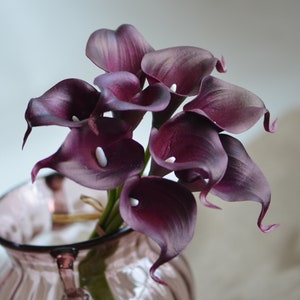 May include: A bouquet of deep purple calla lilies in a clear glass vase. The lilies have white centers and are arranged in a cluster.