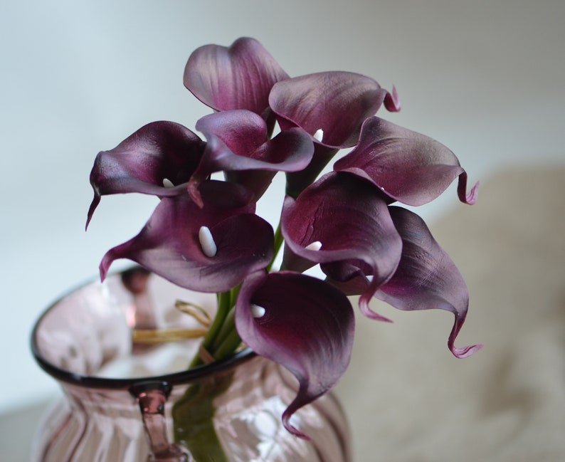 May include: A bouquet of deep purple calla lilies in a clear glass vase. The lilies have white centers and are arranged in a cluster.