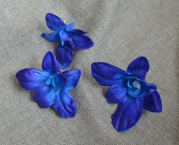 3 orquídeas azul turquesa oscuro orquídeas de Tailandia con - Etsy España