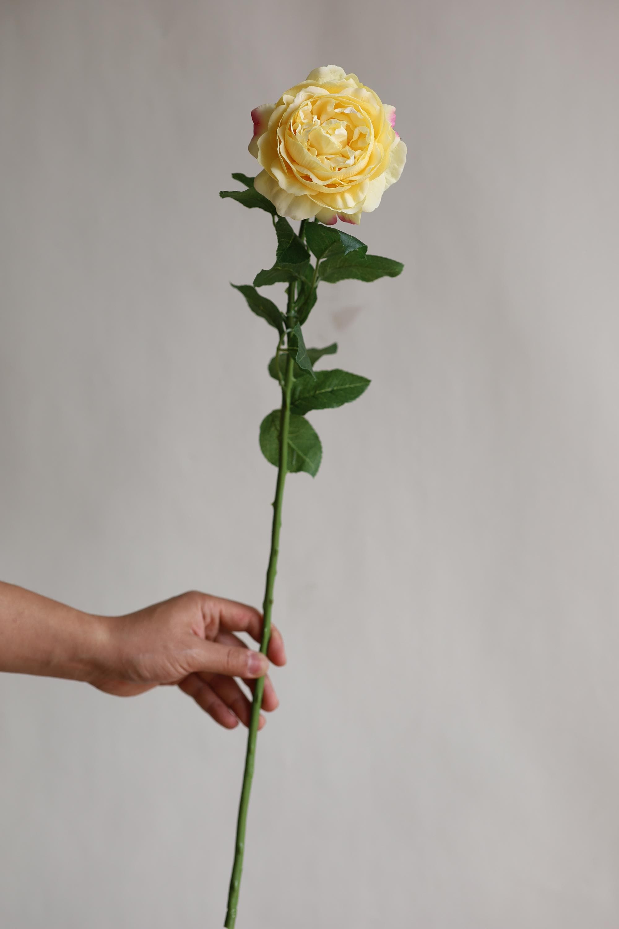 Yellow Realistic Roses 25.5