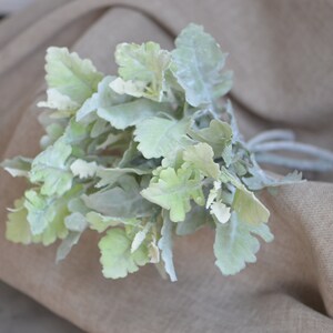 May include: A bunch of artificial lambs ear plants with soft, fuzzy, light green leaves.