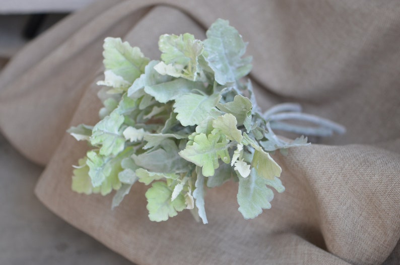May include: A bunch of artificial lambs ear plants with soft, fuzzy, light green leaves.