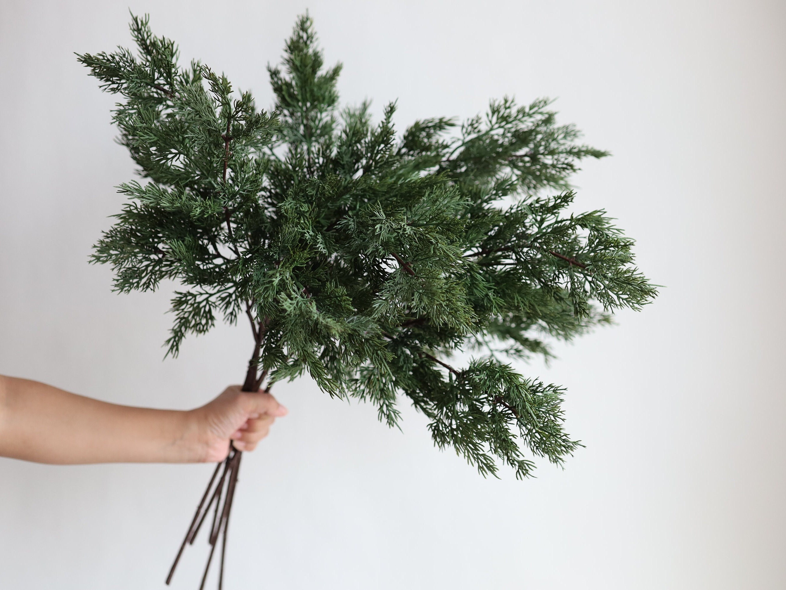 Pine Branches / Green Dried Antlers Pine 2-5 Stems / Preserved