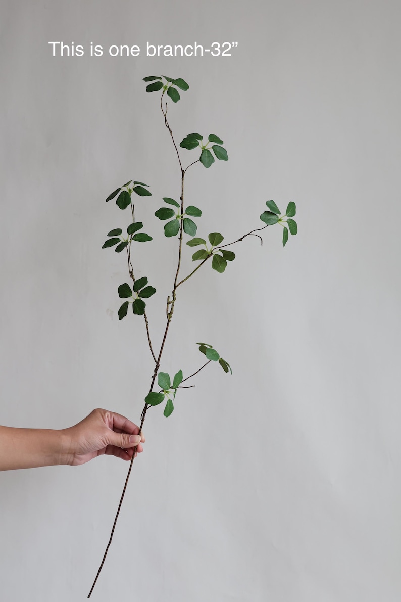 Puede incluir: Una sola rama con hojas verdes, de aproximadamente 81 cm de largo. El texto "This is one branch-32" es visible en la imagen.