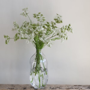 Tallo de planta de encaje falso de la reina Ana de 19,7 , 3 cabezas en blanco, rama de flores artificiales de primavera, flores de bricolaje / boda / hogar / decoración de cocina, regalos imagen 5