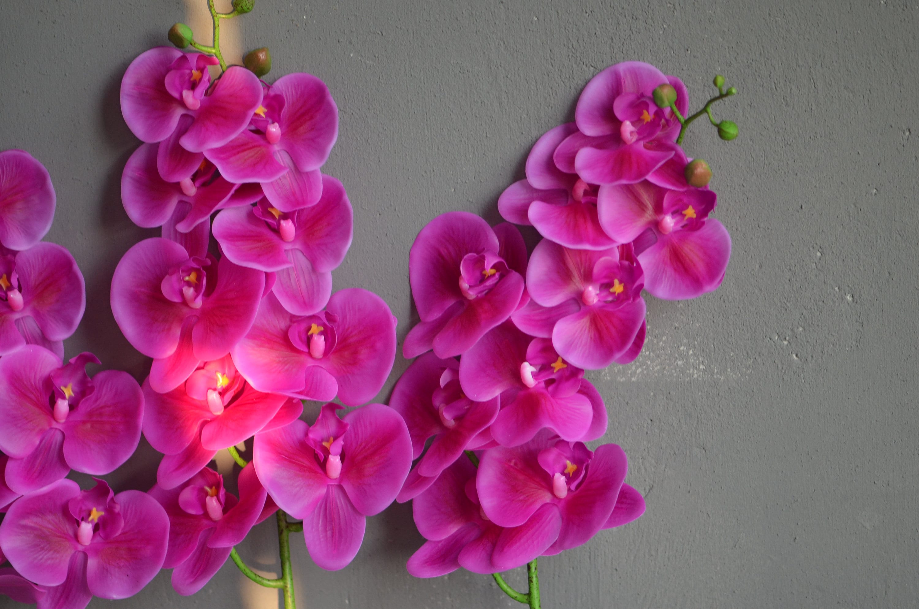 Tropical Wedding Bouquet Fuchsia Purple Real Touch Phalaenopsis Orchid –  Songs from the Garden