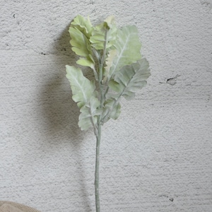 May include: A single stem of artificial greenery with light green and grey leaves. The leaves have a fuzzy texture.