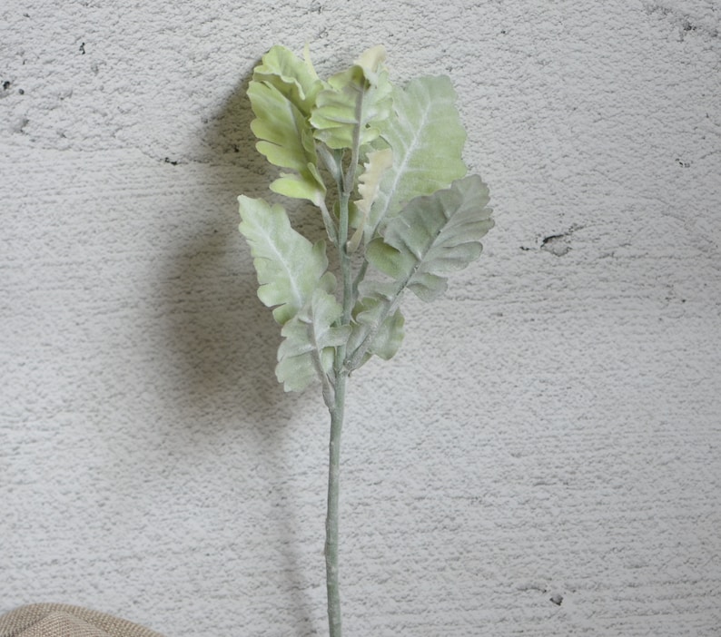 May include: A single stem of artificial greenery with light green and grey leaves. The leaves have a fuzzy texture.