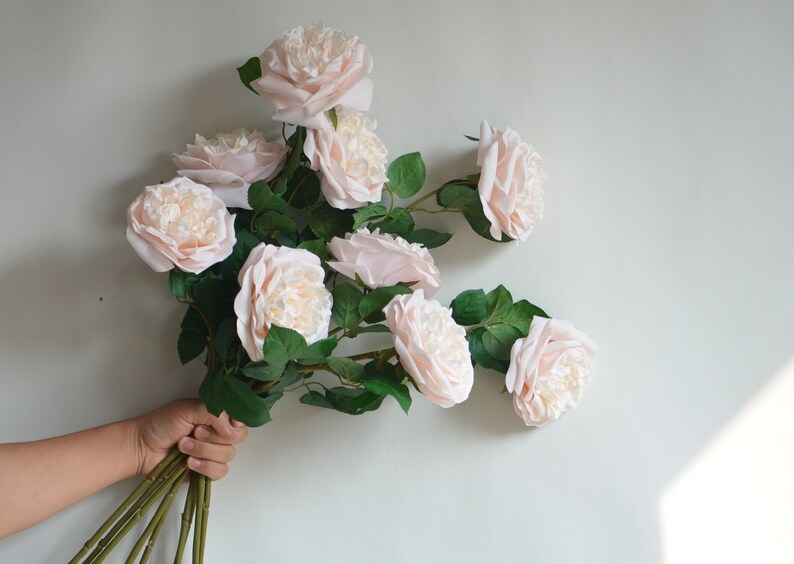 Englsih Roses Fake 25.5