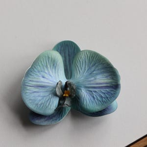 May include: A single blue orchid flower with a yellow center. The flower has a delicate, veined texture.
