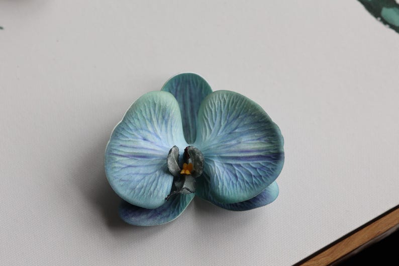 May include: A single blue orchid flower with a yellow center. The flower has a delicate, veined texture.