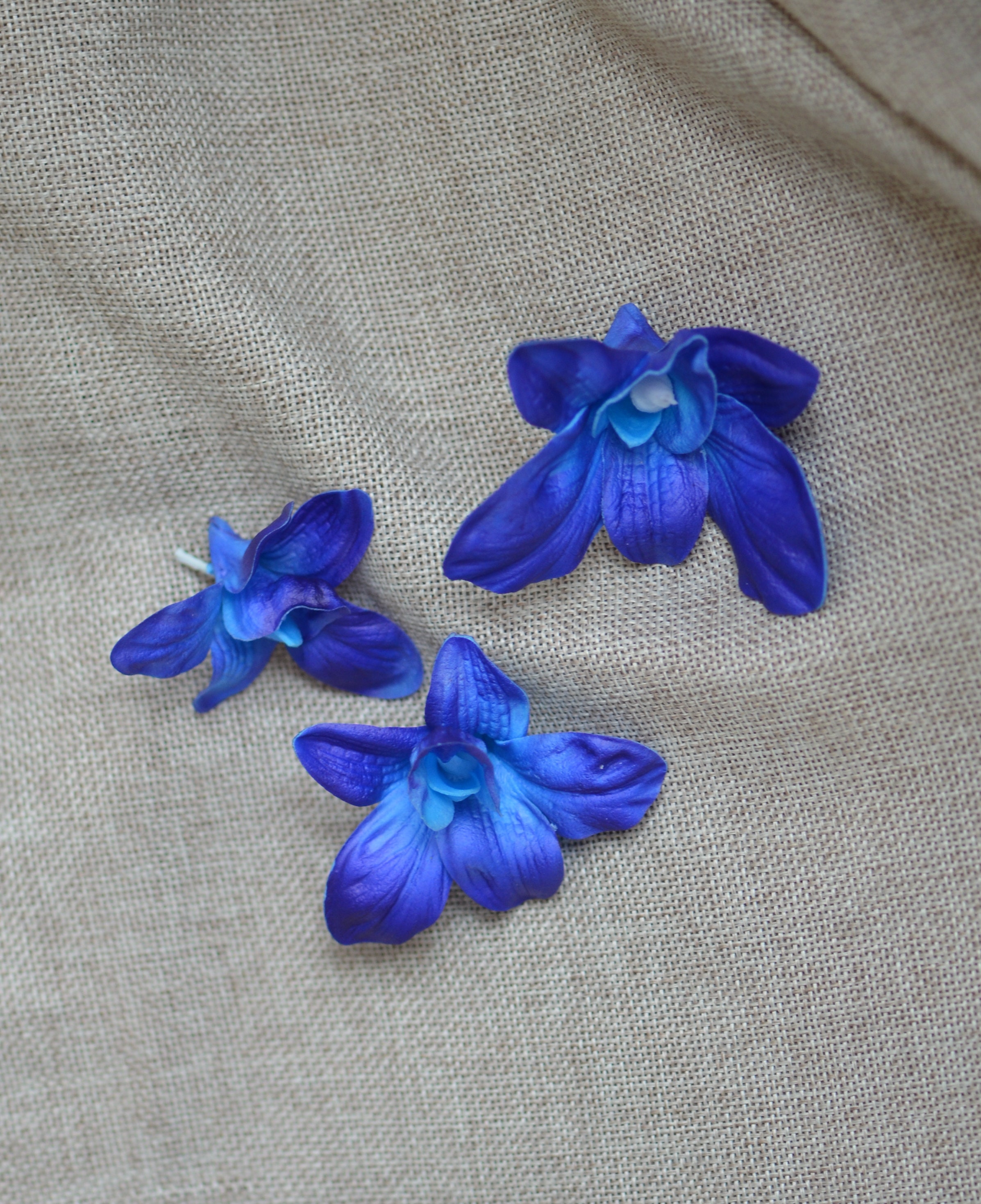 3 orquídeas azul turquesa oscuro orquídeas de Tailandia con - Etsy España