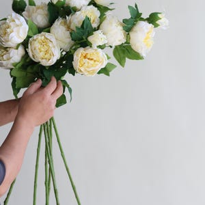 Pu&ograve; includere: Un mazzo di peonie bianche con steli e foglie verdi.