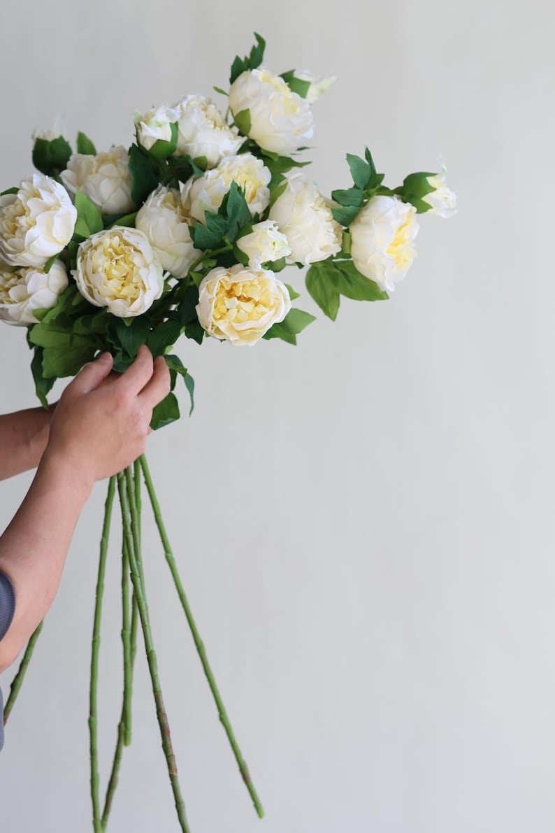 Pu&ograve; includere: Un mazzo di peonie bianche con steli e foglie verdi.